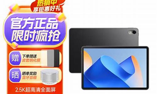 华为w10平板是什么型号_mediapad10华为平板高配版8+256