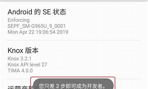 3星手机开发者选项_三星手机无开发者选项